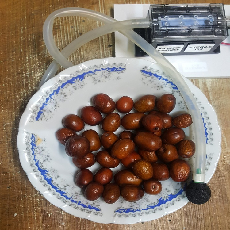 ژنراتور اوزون trump xp